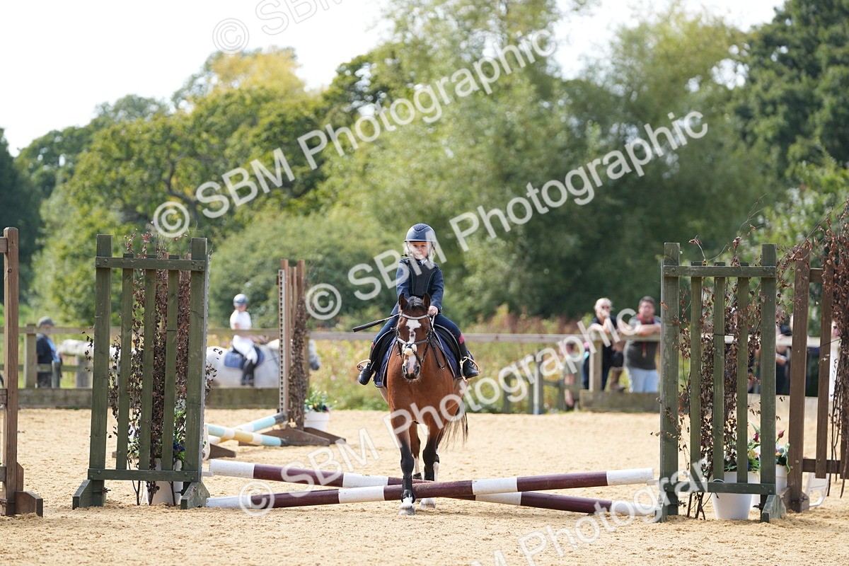 SBM_65777 - J2 - Mini Tour Junior Pony 30cm Championship
