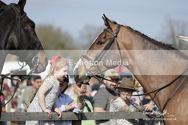 PtP 080423 485 - Dingley Races The Woodland Pytchley Hunt PtP 08/04/23