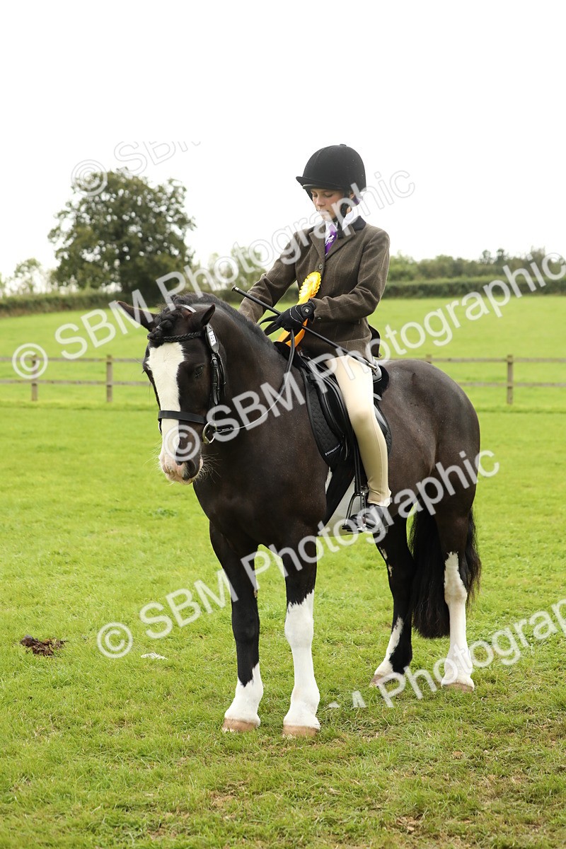 SBM_71450 - S41 - Ridden Equitation (Best Rider)