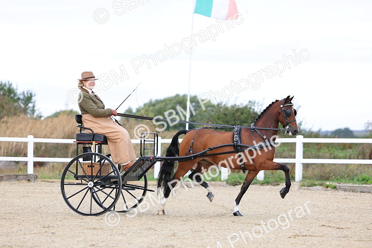 SBM_000262 - Class 2 - Exercise Vehicle 13.2hh & Under