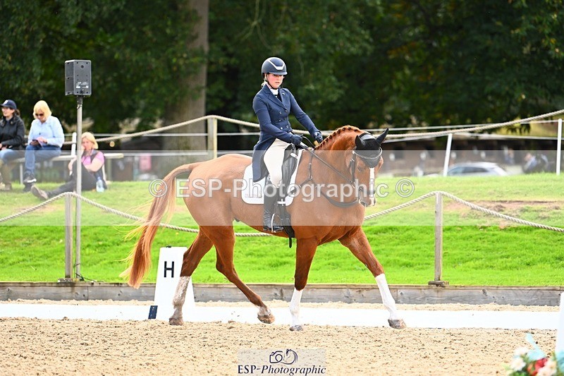 231020-145539-10037 - 311-DALOUBET.MANSOLEIN.Z-Kat.Raybould-DR