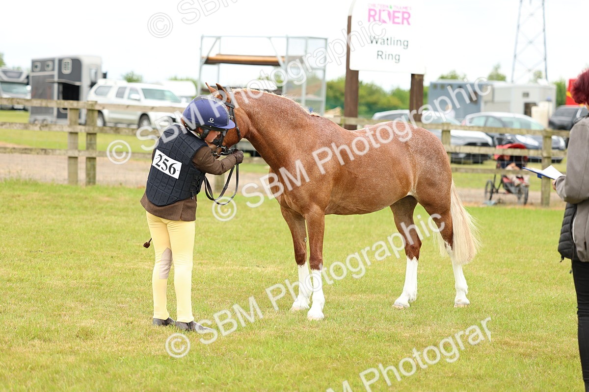 SBM_10286 - Class 44-45 - LIHS BSPS Open Nursery and Cradle Stakes