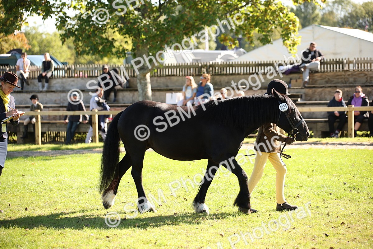 SBM_36623 - S10 - Best In Hand Horse & Pony