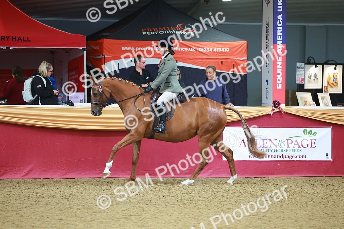 SBM_09745 - Class 102 - HOYS Veteran Qualifier - Ridden Veteran