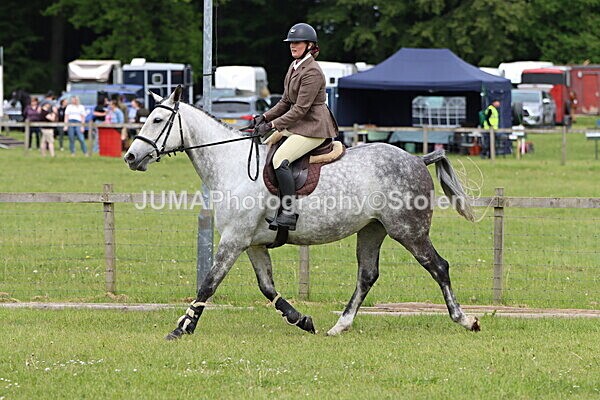 IMG_2756 - Working Hunter