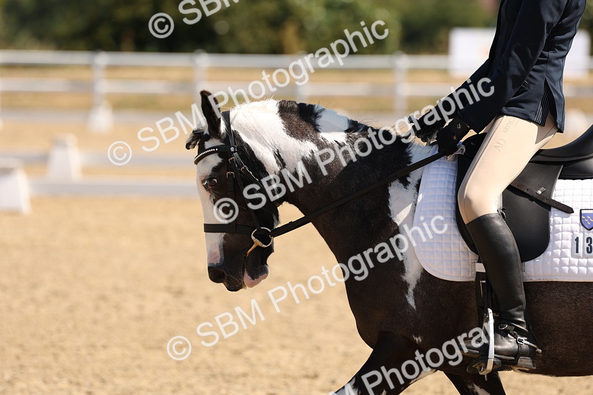 SBM_001064 - Intro 2