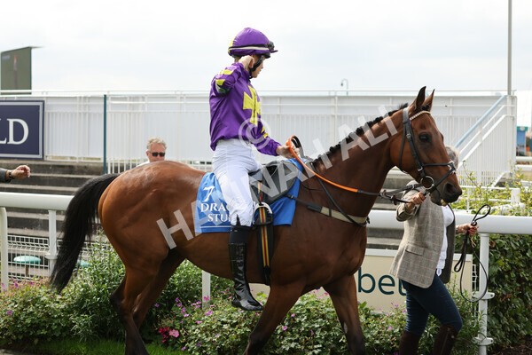 yr04092022p2-19 - 12.50pm. 148cm Open Pony Race