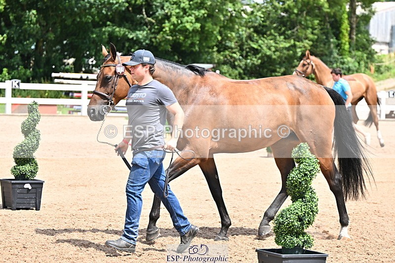 240718A-105303-01497 - Trot Up 12pm to 1pm