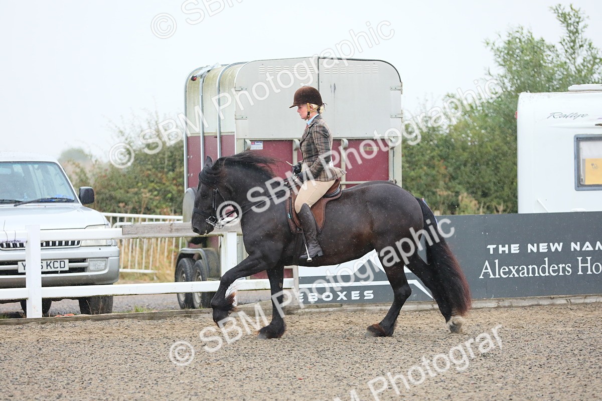 SBM_19870 - Class 801 - Ridden Veteran