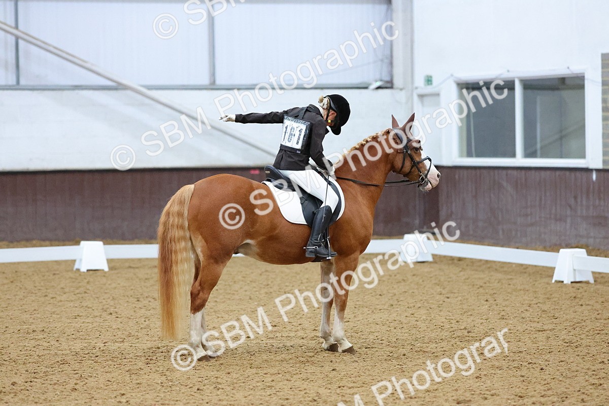 SBM_004211 - Intermediate