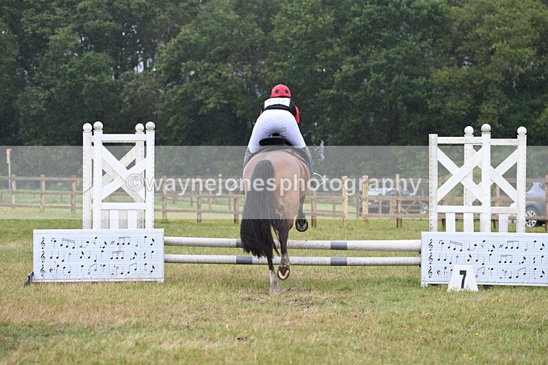 WJ6_3953 - 60cm Time 10:17 to 11:08