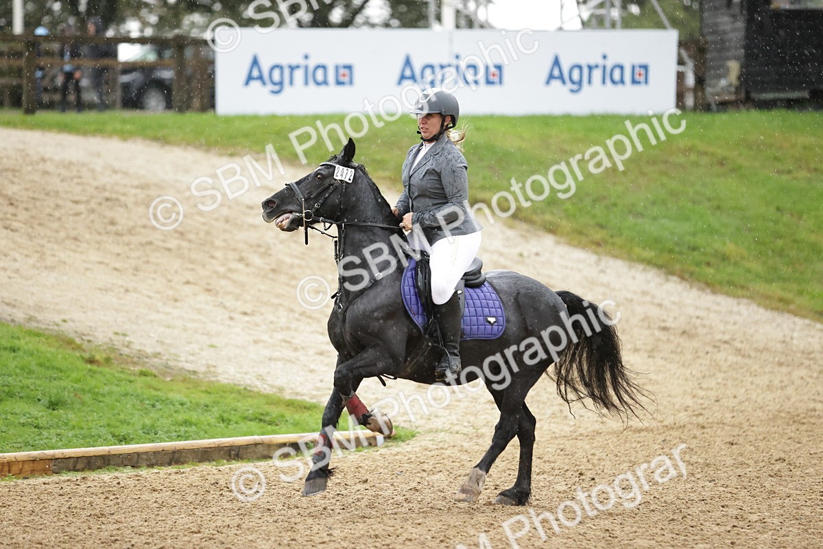 SBM_35980 - J38 - Senior Horse & Pony 80cm Championship