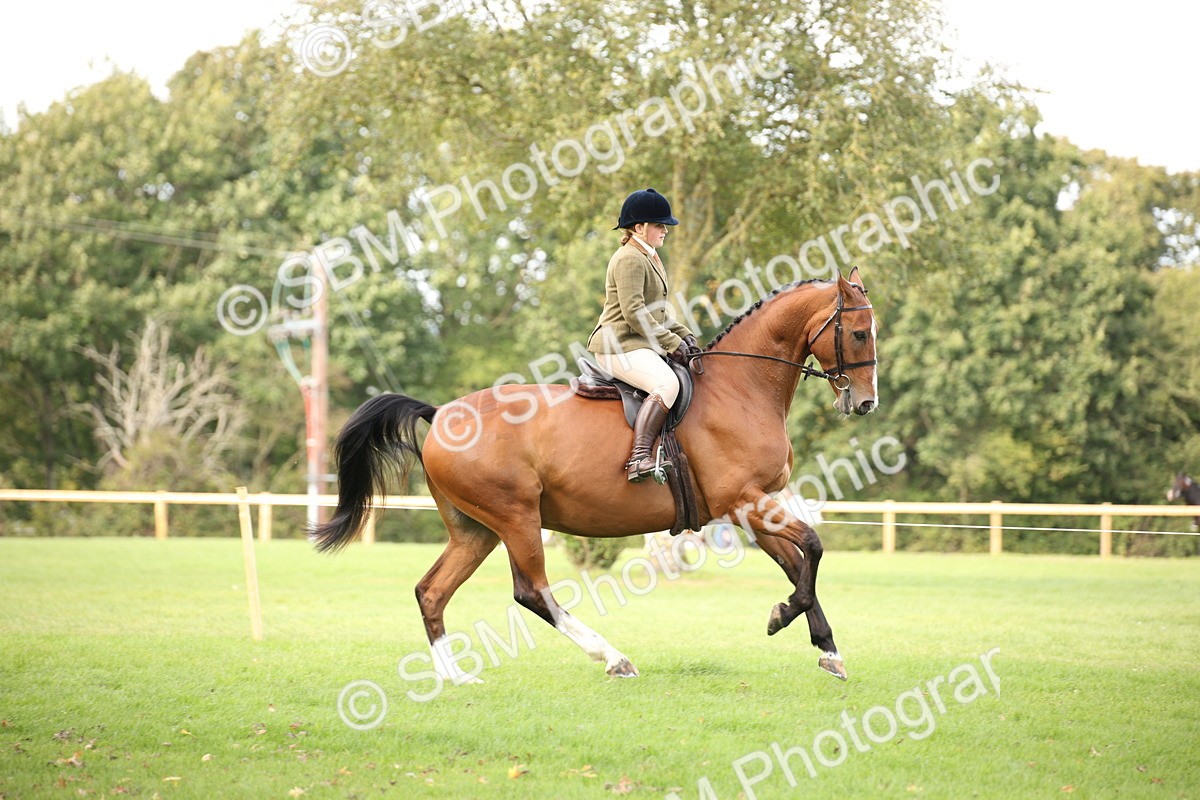SBM_70373 - S66 - Hunter Ridden