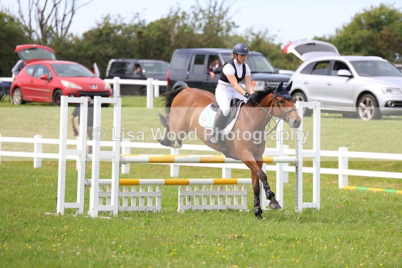 3E7A1861 - Class 13: Senior British Novice/90cm open