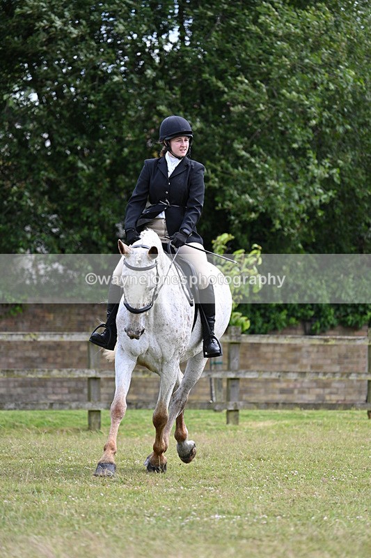 WJ7_8364 - Class 7  Riding Club Show Horse