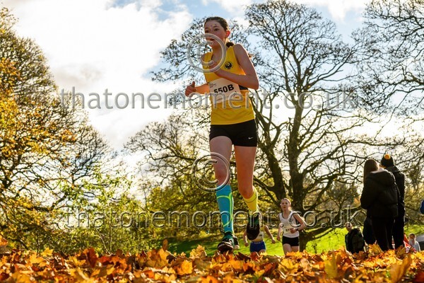 NatRel25-913721 - Young Female Set Two