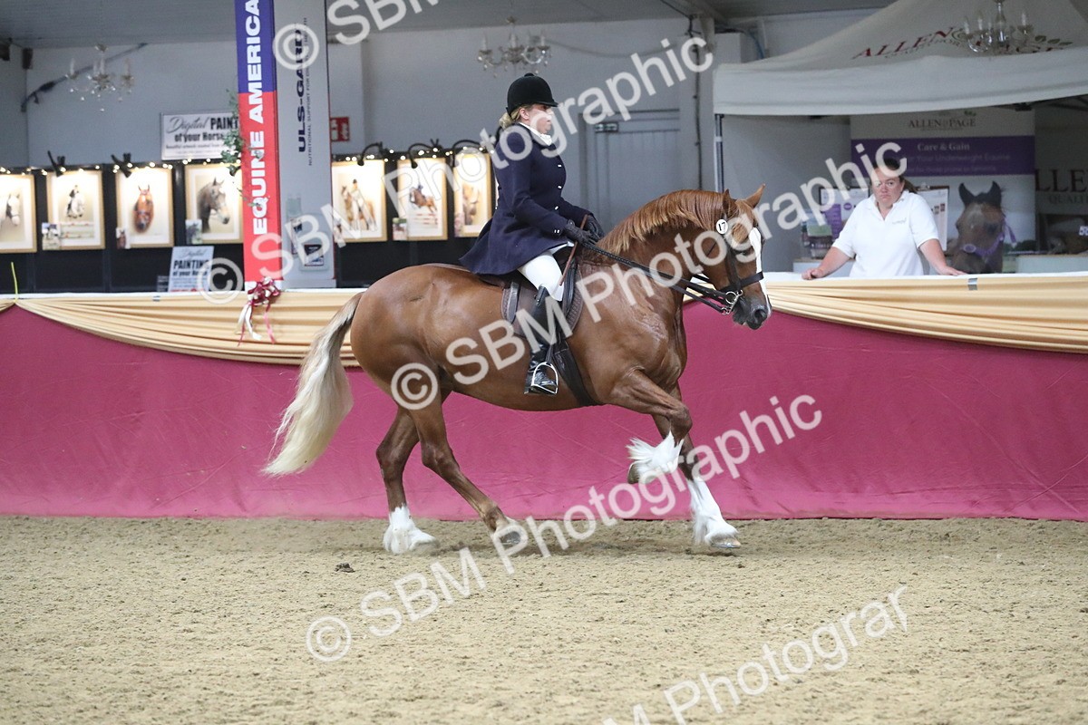 SBM_17196 - M&M Supreme Final Champ