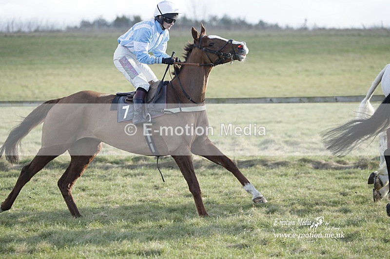 PtP 260223 1048 - South & West Wilts Point-to-Point Larkhill 26/02/23