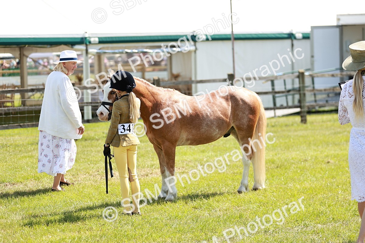 SBM_13626 - Class 108-109 - BSPS LIHS Open Gradle & Nursery Stakes