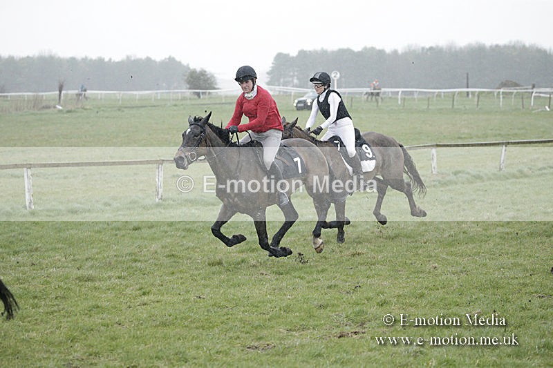 PtP 150320 0023 - New Forest Point-to-Point Larkhill 15/03/20
