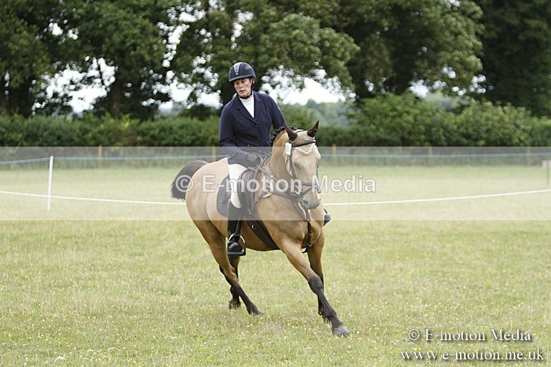 BVR160717-955 - Ring 3 BVRC Show 16/07/17