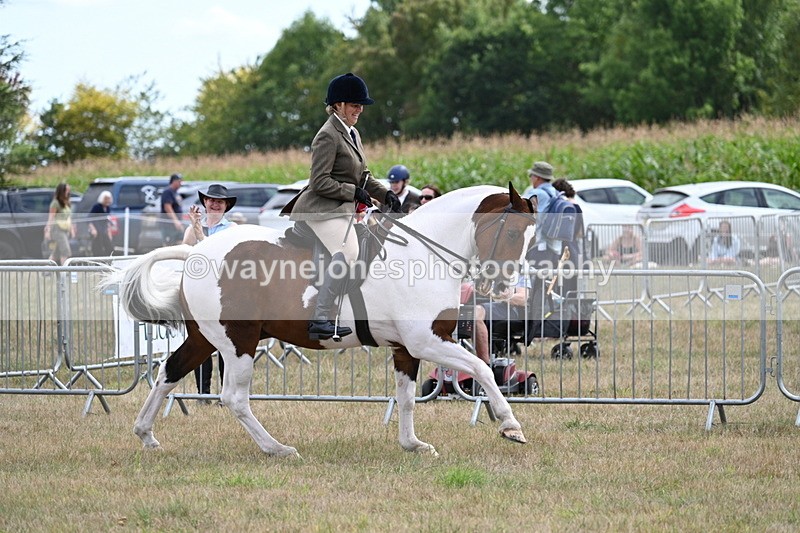 WJ7_5619 - Class 12 Ridden Cob