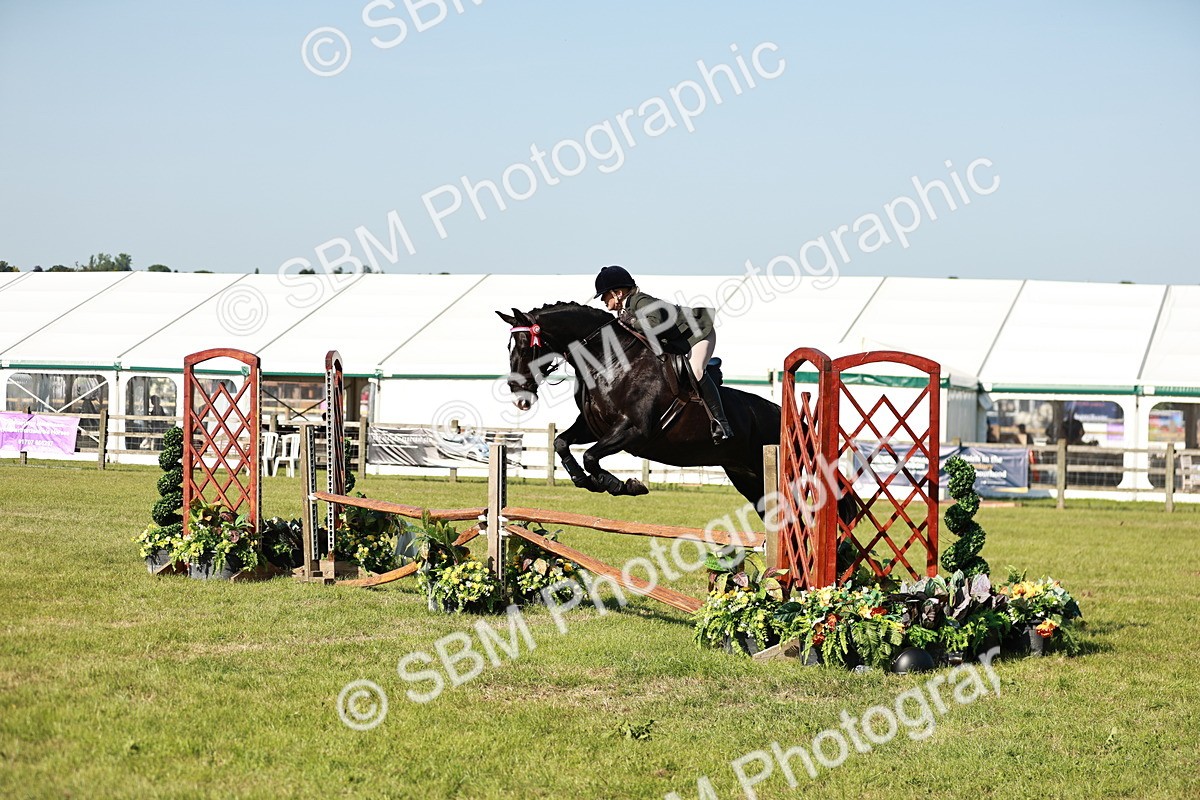SBM_19191 - Class 115-116 - LIHS BSHA Rising Star Working Hunter & Show Horse
