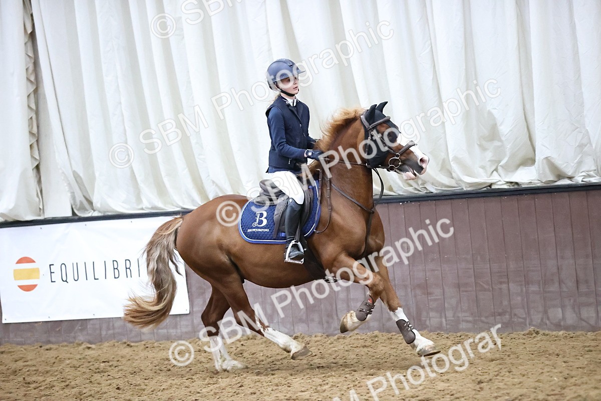 SBM_000377 - Class 2 - Pony British Novice - 80cm Open