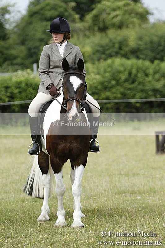 BVR160717-185 - Ring 3 BVRC Show 16/07/17