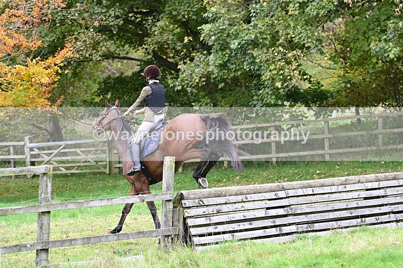 WJ7_4787 - Camera 1 Line 3