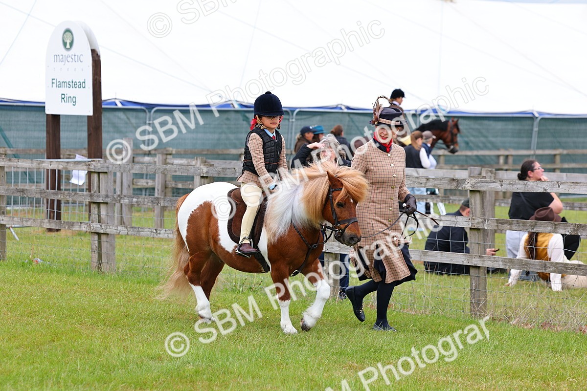 SBM_08088 - Class 42-43 - LIHS BSPS Heritage Working Sports Pony