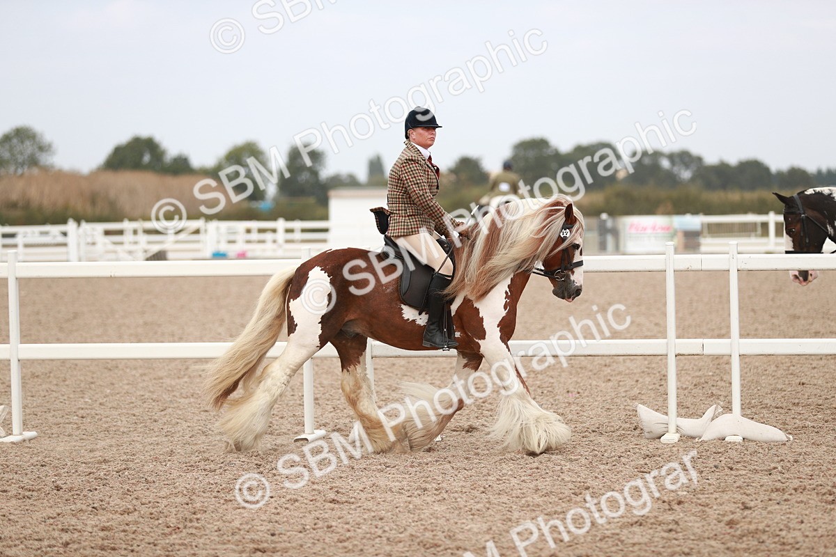 SBM_16594 - Class 214 Ridden Cob