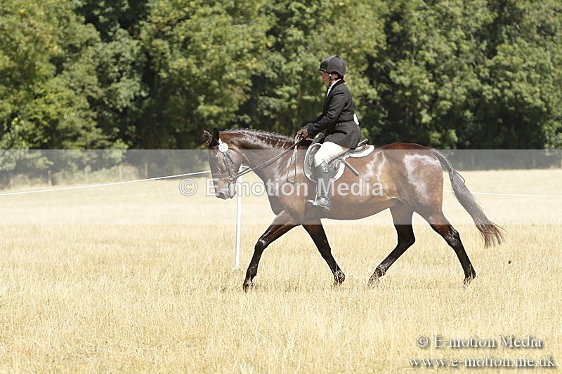 _BS_0753 - BVRC Show 2018 Ring 1