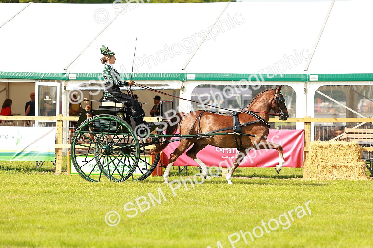 SBM_01171 - Class 2-4 - HOYS Private Driving