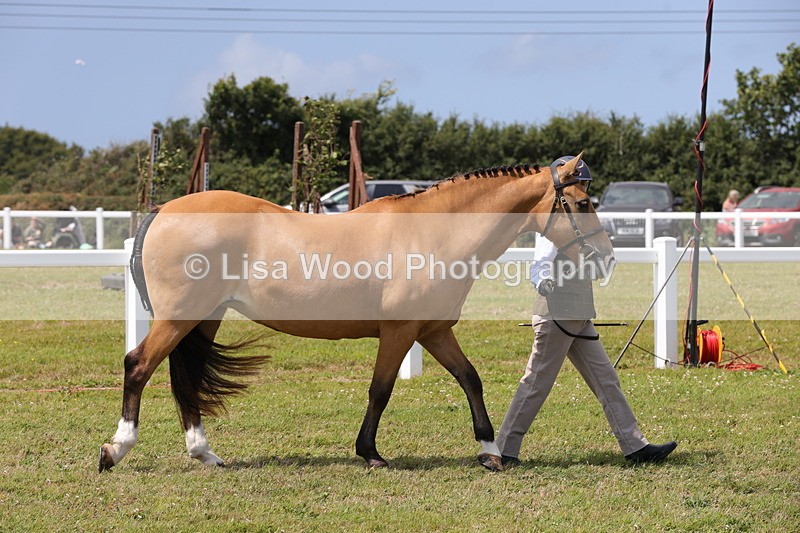 1X9A4886 - Class 35: Veteran In Hand
