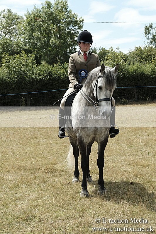 _PJP5994 - BVRC Show 2018 Ring 1