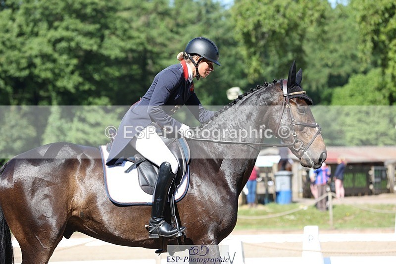 230526-093112-05091 - 355-JASON_KING-Izzy_Taylor-WEDTrotUp+DR