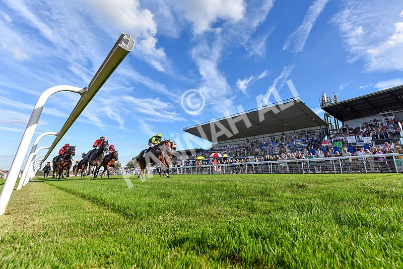 220926-Race 6-Coolree-7569 - Race 6 4.25pm Fango Handicap (Div I)