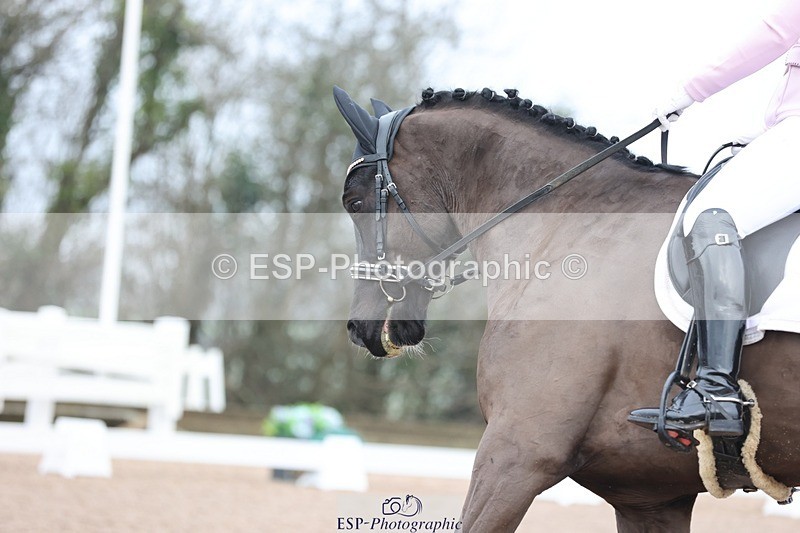 250216-094124-04769 - 137-Helen.Kitto-Maesmynach.Granite