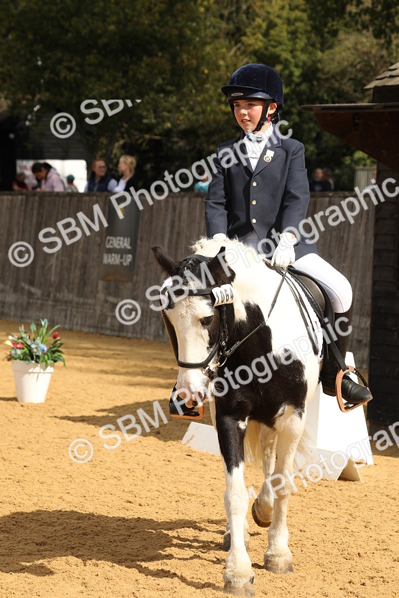 SBM_41919 - D21 - Junior Championship - Intro A