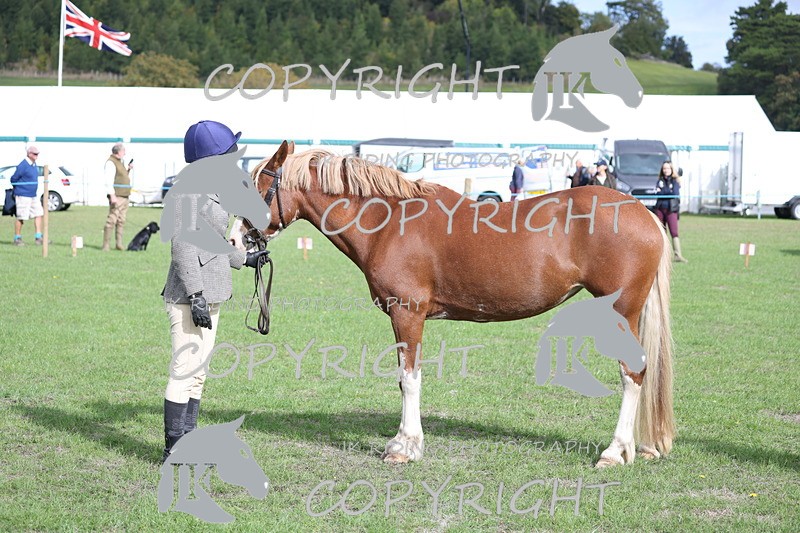 APP_2640 - Class 9 Veterans in hand
