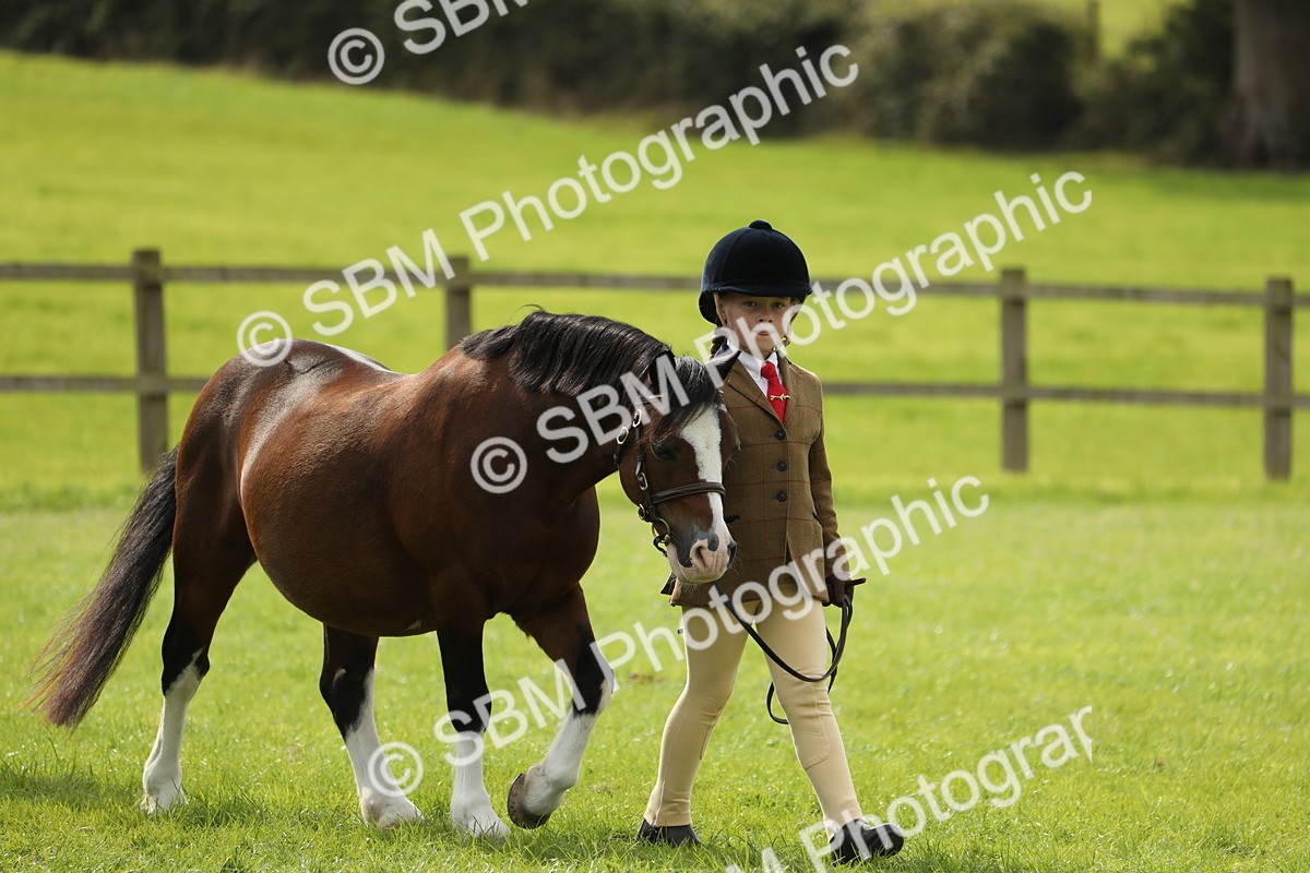 SBM_67694 - S39 - Junior Handler 8  Years & Under