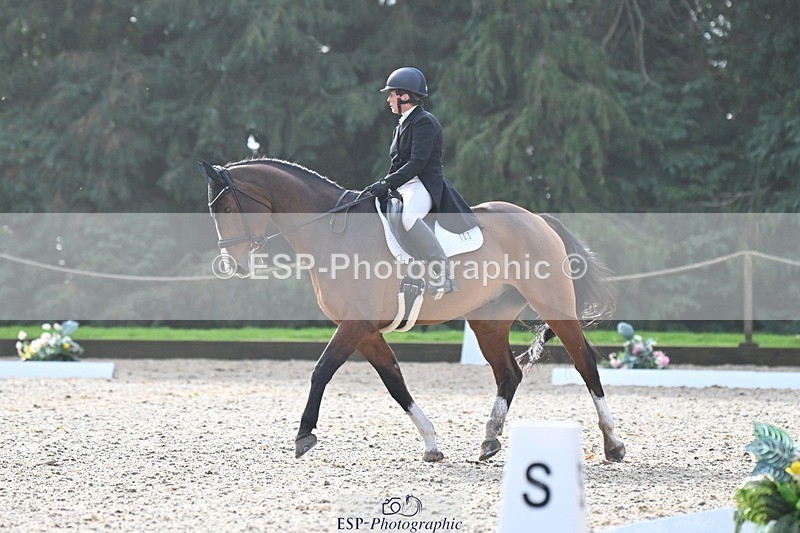 231019-110552-02037 - 105-BRIGHT.KNIGHT.III-Janet.Clarke-DR