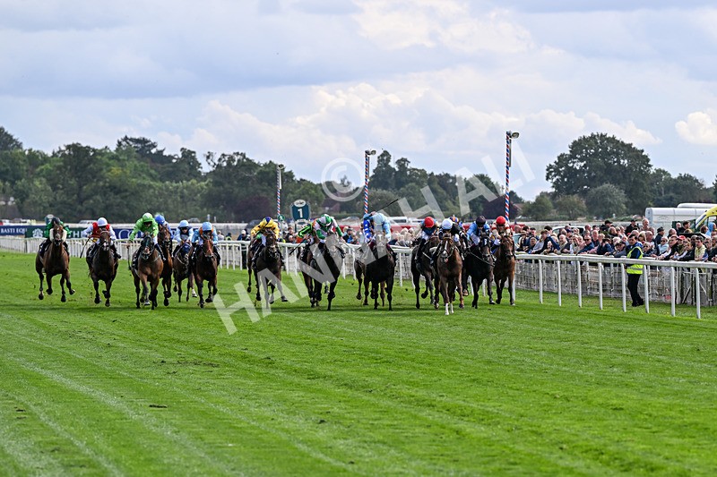 210826-Race 4-Bacio-6156 - Race 4 15.35pm Coolmore City Of Troy Nunthorpe Stakes