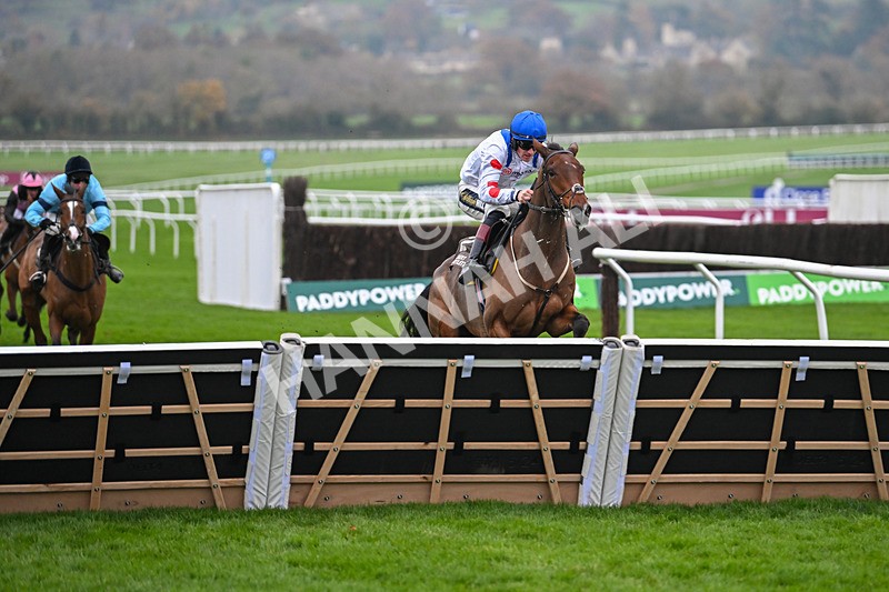 151124-Race 5-Potters Charm-8432 - Race 5