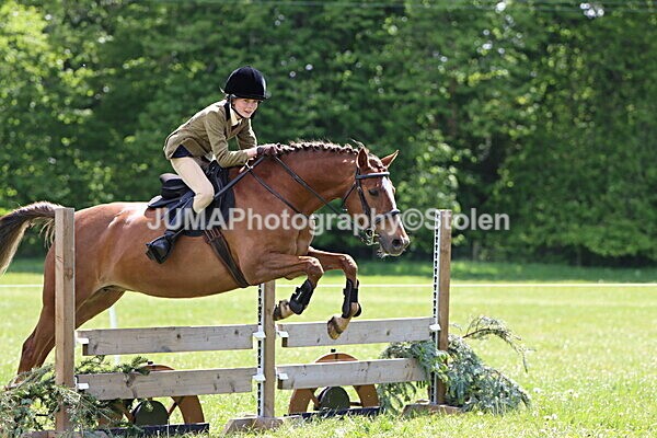 IMG_3643 - Working Hunter