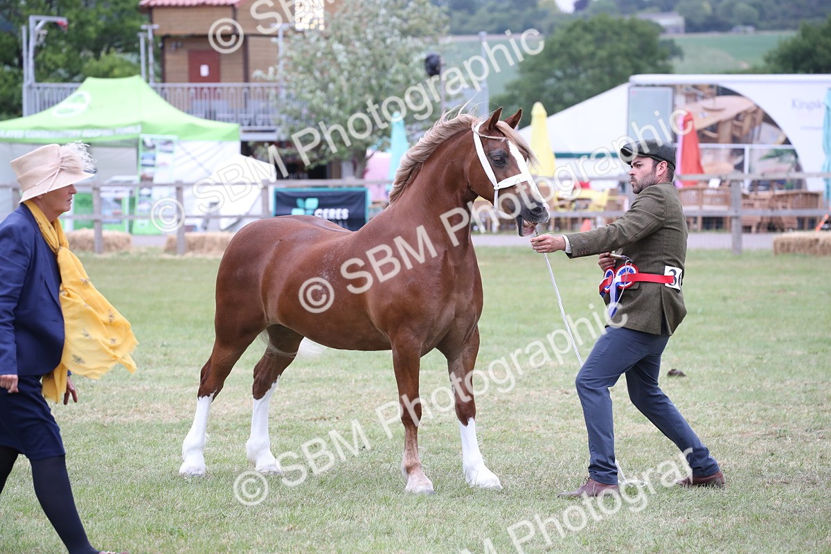 SBM_09876 - Ch 50 - Price Family Supreme In Hand