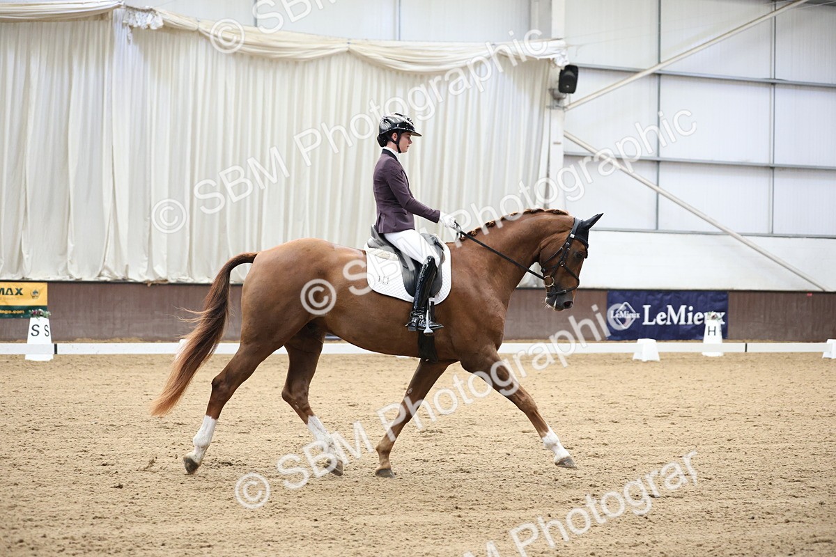 SBM_002808 - Class 5 - Novice 6 Gold - 10.24-11.30
