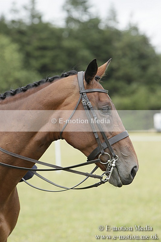 BVR160717-2396 - Side Saddle Classes 16/07/17