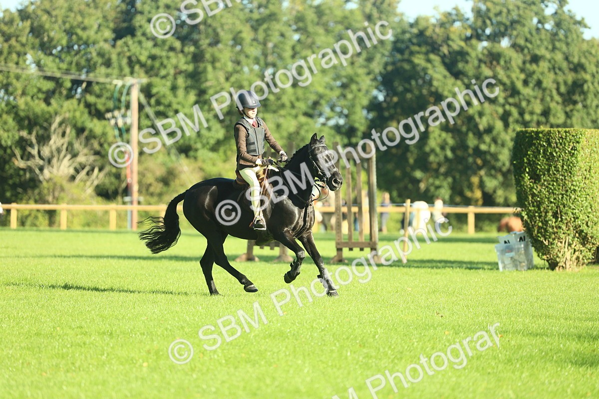 SBM_36312 - S29 - Novice & Newcomers Working Hunter Pony